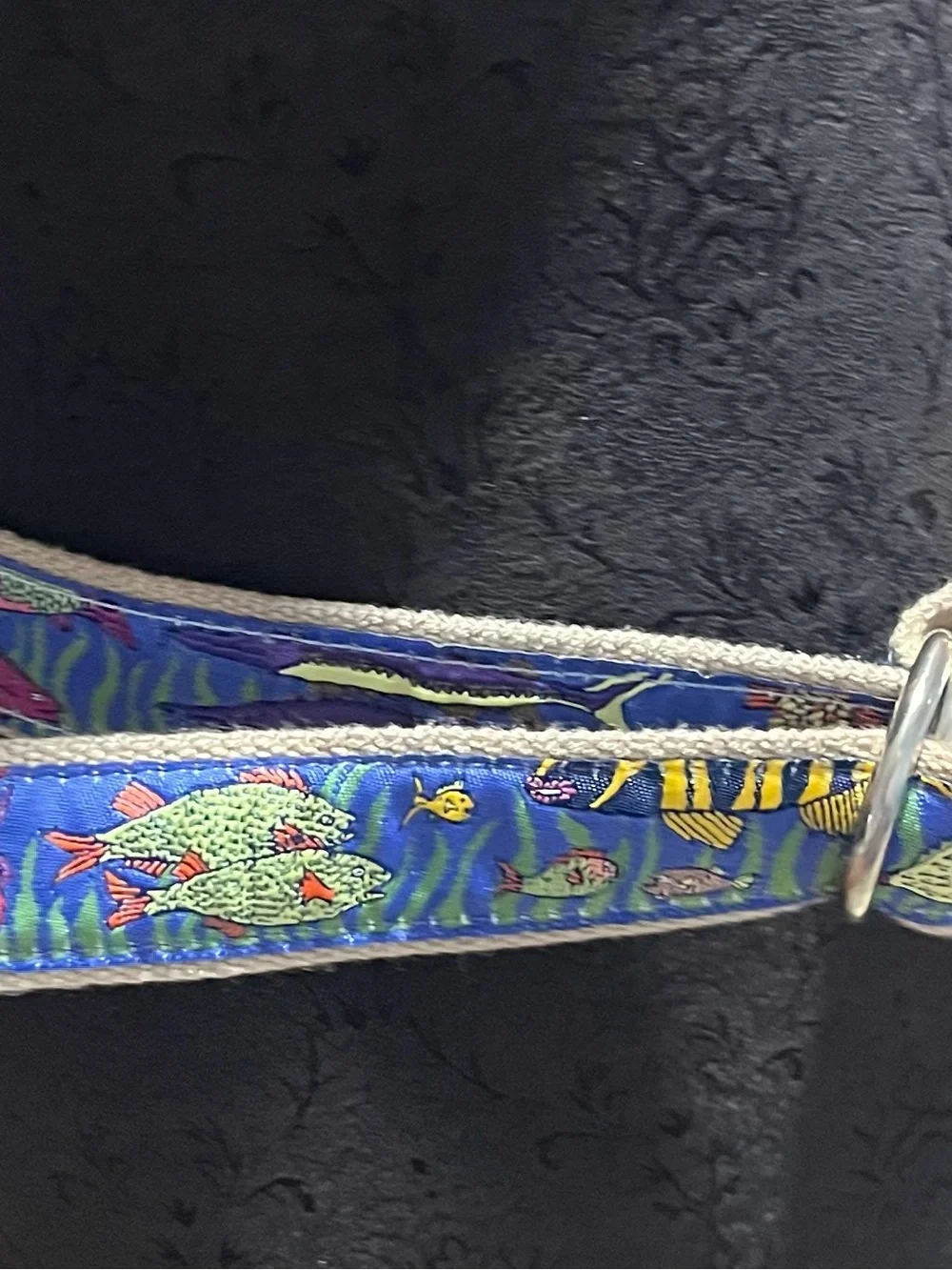 The belted cow this belt